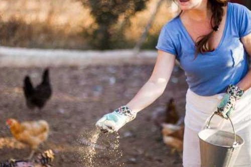Women in working gloves-500x333