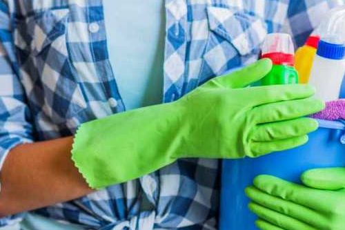 Women with cleaning equipment-500x333